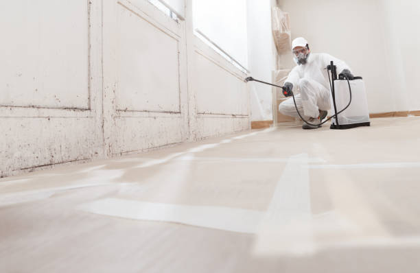 24/7 Emergency Commercial Mold Remediation experts in West Long Branch, NJ